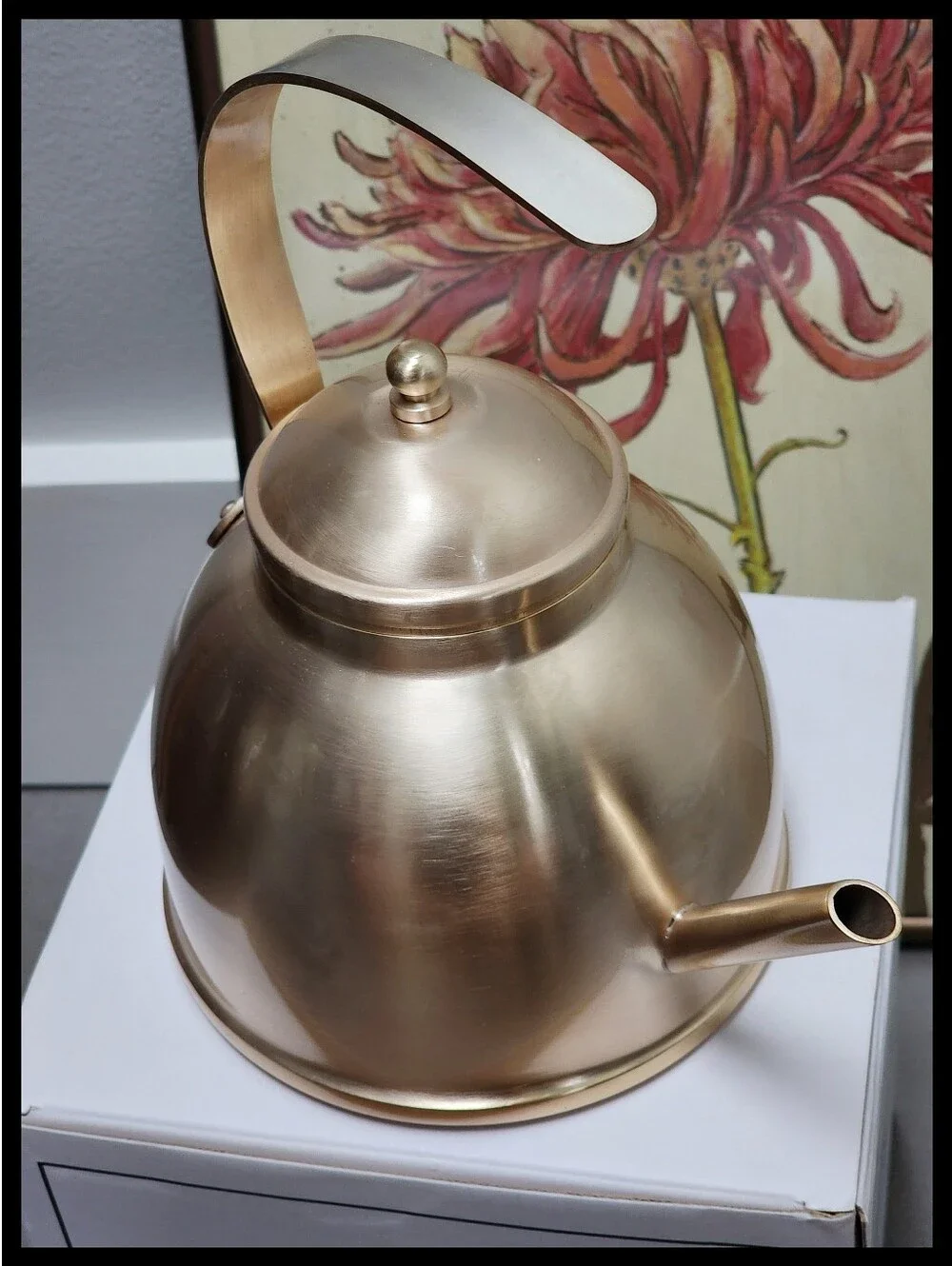 Rose & Fitzgerald Brushed Gold Kettle Crafted 18/8 Stainless 8